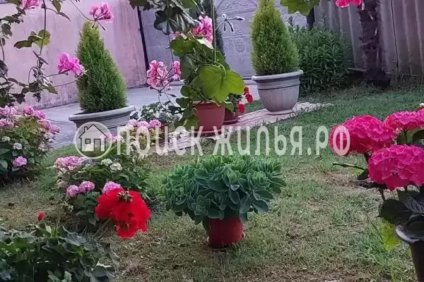 Частный сектор «Апартаменты Анна»