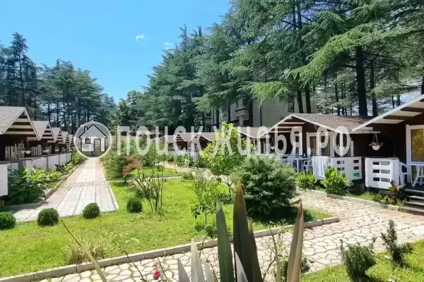 Частный сектор «Eco House Pitiunt» Частный сектор «Eco House Pitiunt»