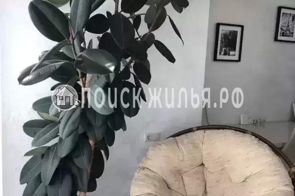 Квартира « жк легенда»