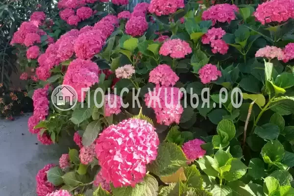 Частный сектор «Таунхаус в Головинке»