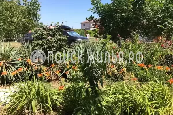 «Виктория» «Виктория»