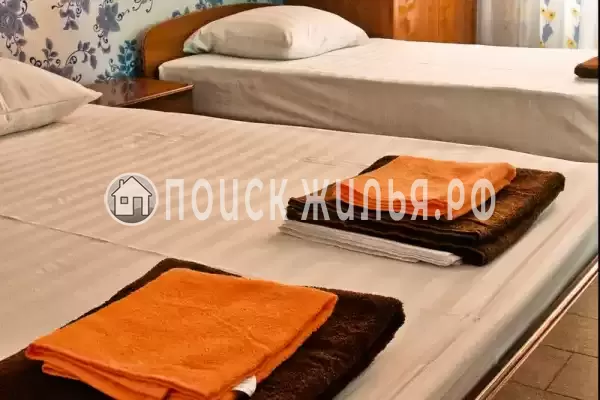 «Октава» «Октава»