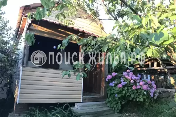 «У Надежды»