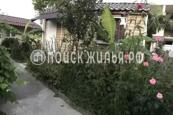 «У Надежды»