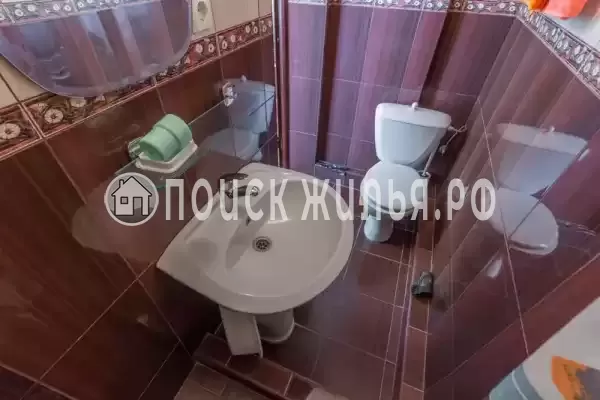 «Фазелис» «Фазелис»