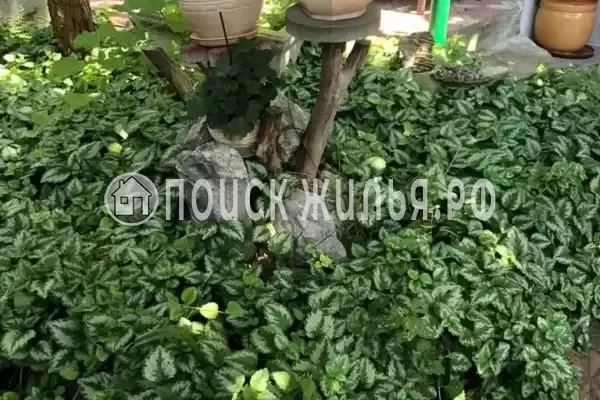 «На победы» «На победы»