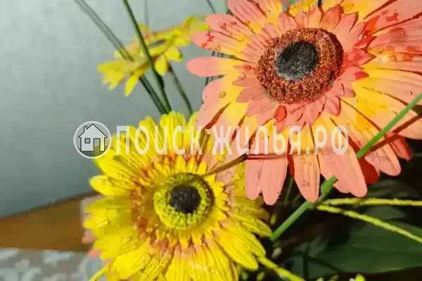 «На Тельмана 24»