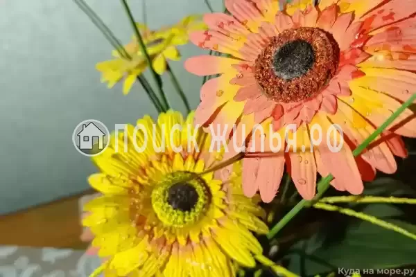 «На Тельмана 24»