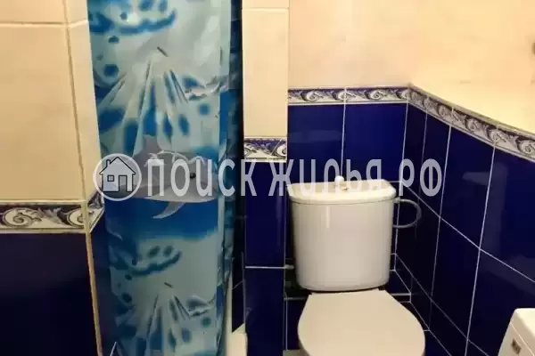 «Дельфин» «Дельфин»