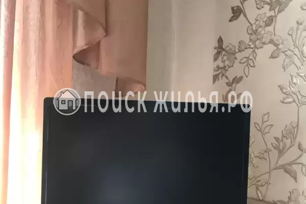 «Дельфин» «Дельфин»