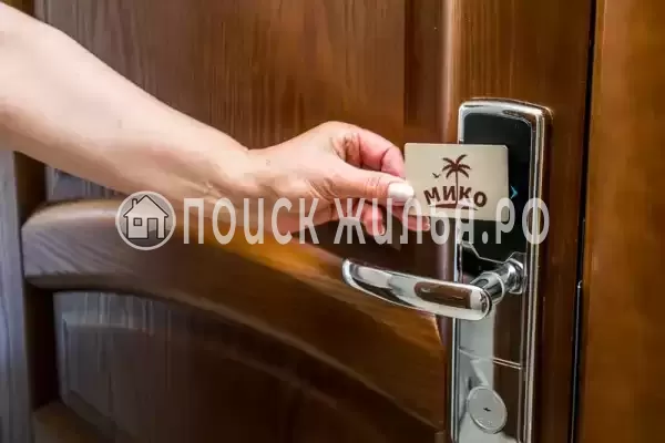 «Мико» «Мико»