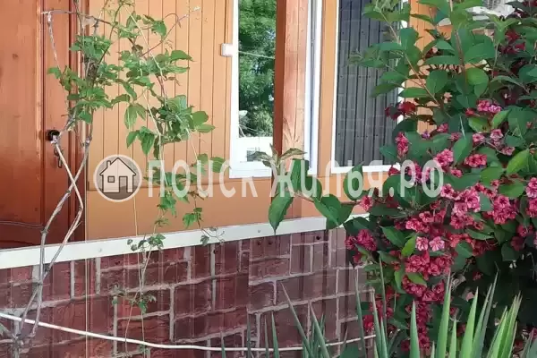 «На Морской» «На Морской»