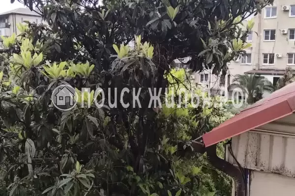 Частный сектор «У Сергея и Оксаны»