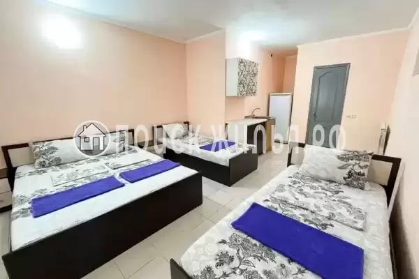 «Владимирский»