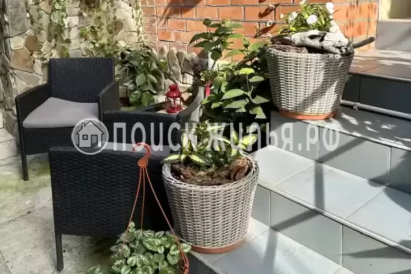 «Зеленый мир» «Зеленый мир»