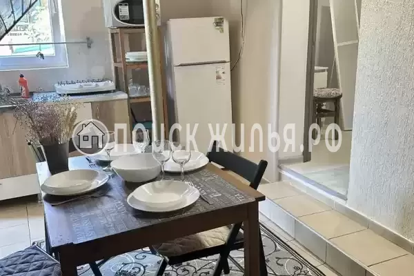 «Зеленый мир» «Зеленый мир»