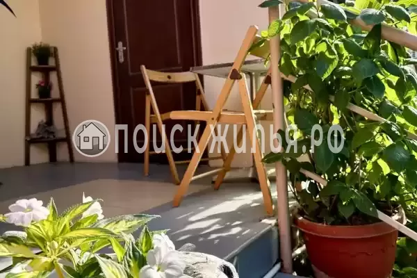 «Зеленый мир» «Зеленый мир»