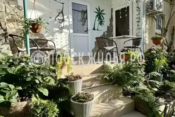 «Зеленый мир» «Зеленый мир»