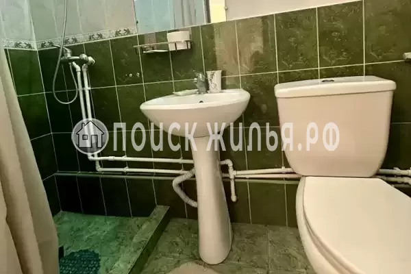 «Зеленый мир» «Зеленый мир»