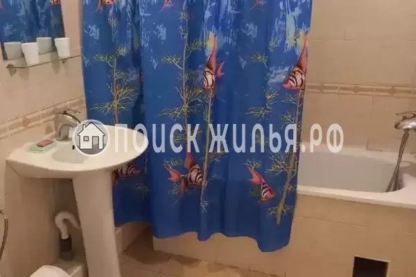 «Белый фрегат» «Белый фрегат»