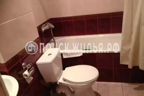 «Белый фрегат» «Белый фрегат»