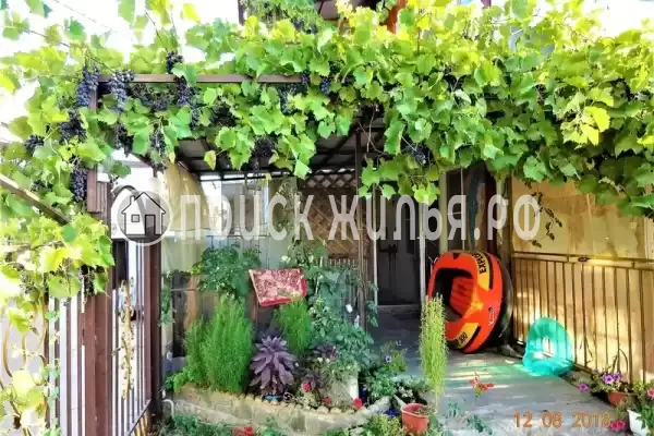 Частный сектор «Азов Сафари»