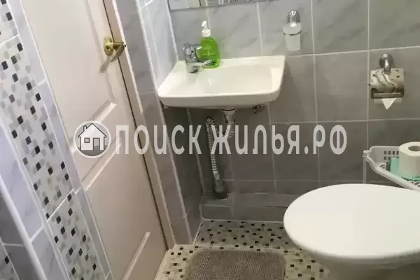 «Алиса» «Алиса»