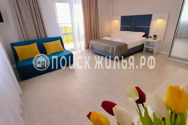 «Прайм» «Прайм»