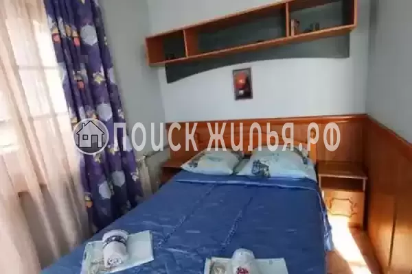 «Мини пальма»