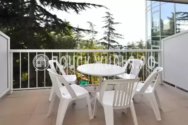 База отдыха «Мечта» База отдыха «Мечта»