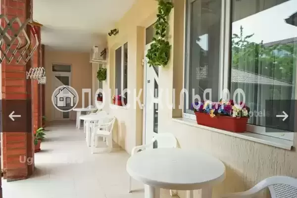 «Золотая Антилопа»