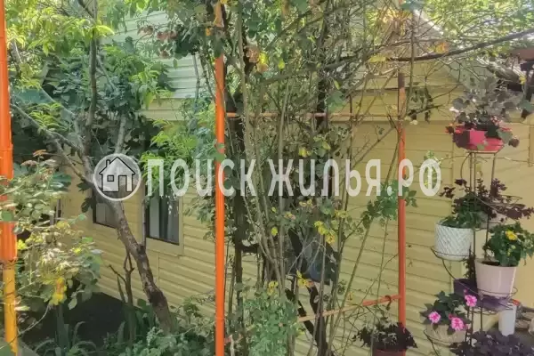 «Алла-Роза» «Алла-Роза»