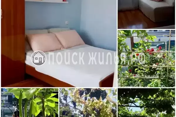 «На школьной»