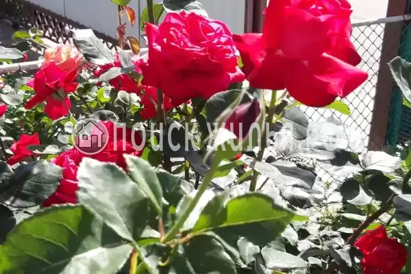 «На школьной»