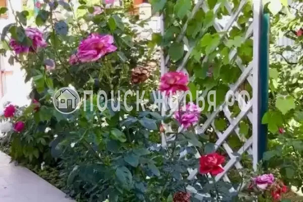 «На школьной»