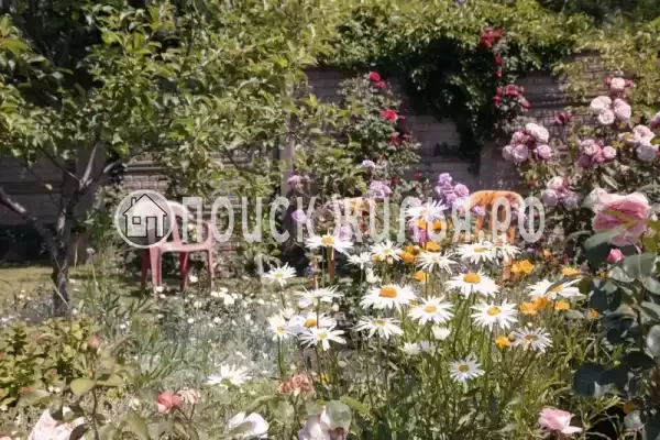 «ДимИль» «ДимИль»