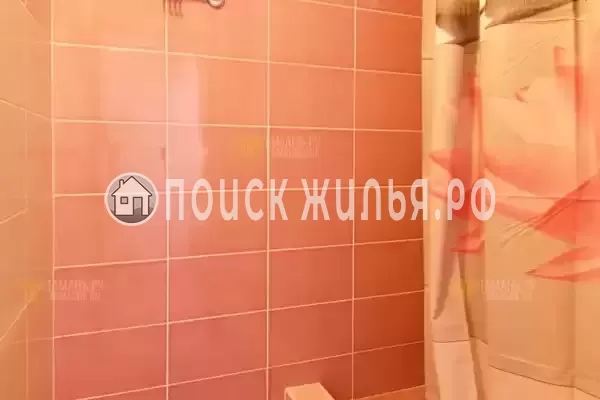 «Лебеди» «Лебеди»