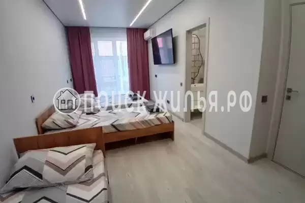 «Два дельфина»