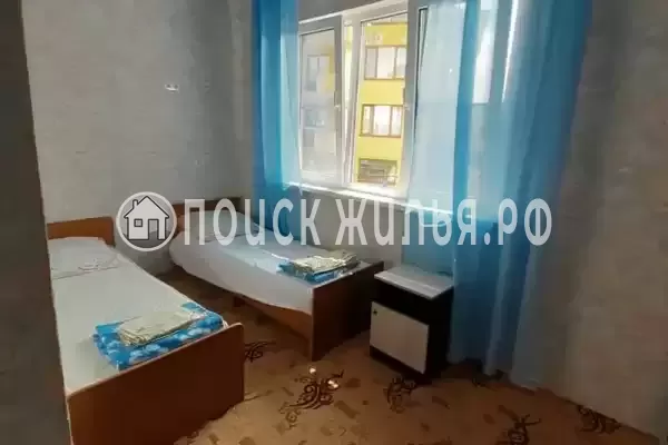 «Два дельфина»