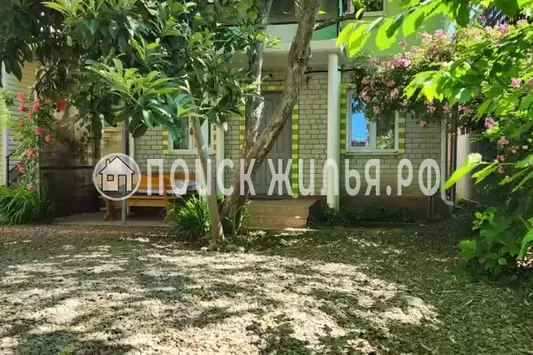 «Белый ирис»