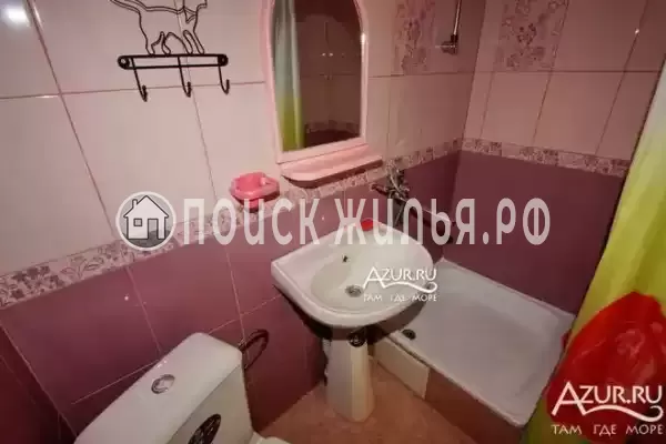 «Белый ирис»