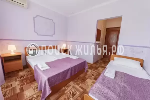 «Енисей» «Енисей»