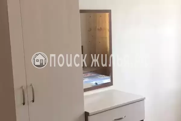 «Авокадо w»