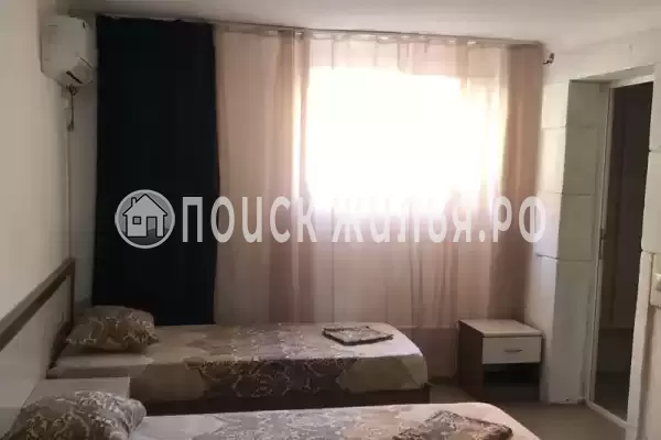 «Авокадо w»