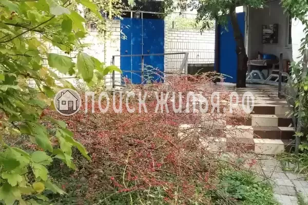 «Тихая гавань»