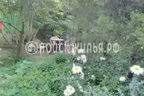 «Тихая гавань»