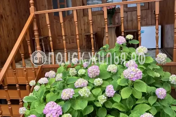 «Авраам отдыхает»