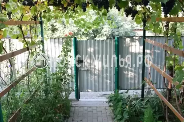 «Добрый» «Добрый»