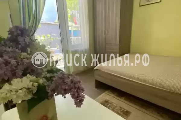 «Монт» «Монт»