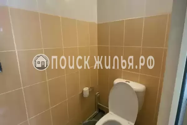 «Монт» «Монт»